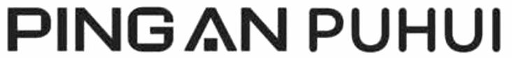 Paraqitja e markës PING AN PUHUI