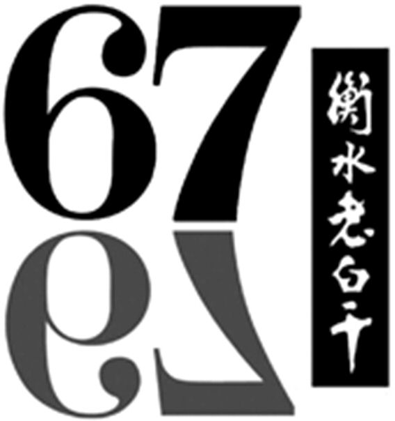 Paraqitja e markës 67