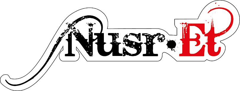 Paraqitja e markës Nusr-Et