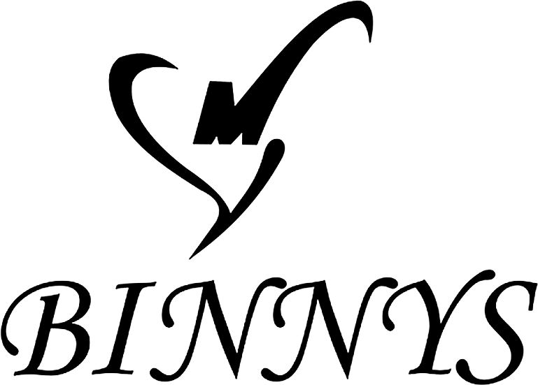 Paraqitja e markës BINNYS