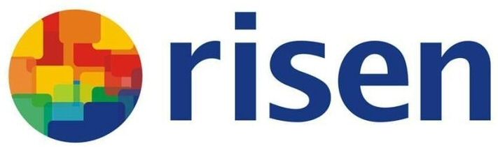Paraqitja e markës risen