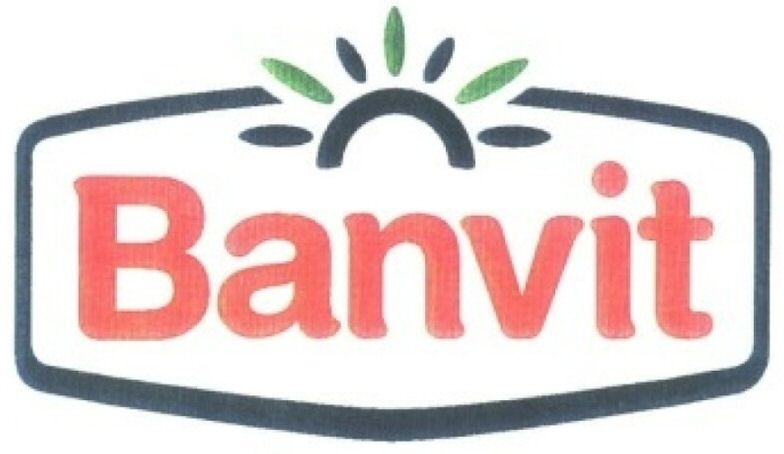 Paraqitja e markës Banvit