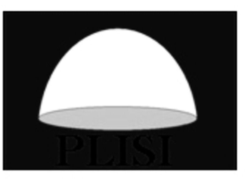 Paraqitja e markës Plisi