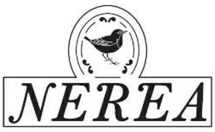 Paraqitja e markës NEREA
