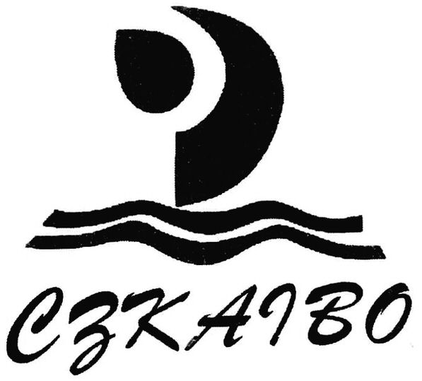 Paraqitja e markës CZKAIBO