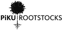 Paraqitja e markës PiKU ROOTSTOCKS