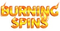 Paraqitja e markës BURNING SPINS