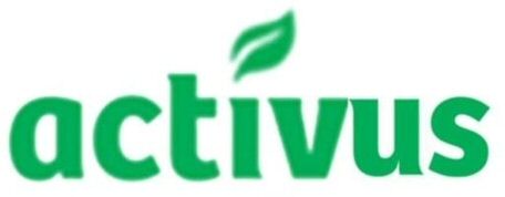 Paraqitja e markës activus