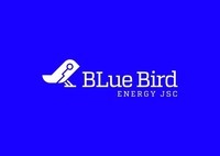 Paraqitja e markës Blue Bird ENERGY JSC