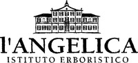 Paraqitja e markës l'ANGELICA ISTITUTO ERBORISTICO