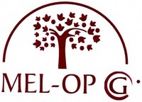 Paraqitja e markës MEL-OP G