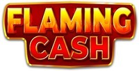 Paraqitja e markës FLAMING CASH