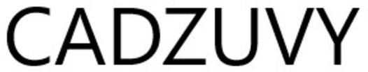 Paraqitja e markës CADZUVY