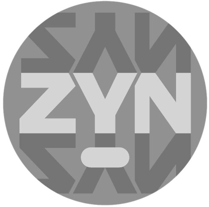 Paraqitja e markës ZYN