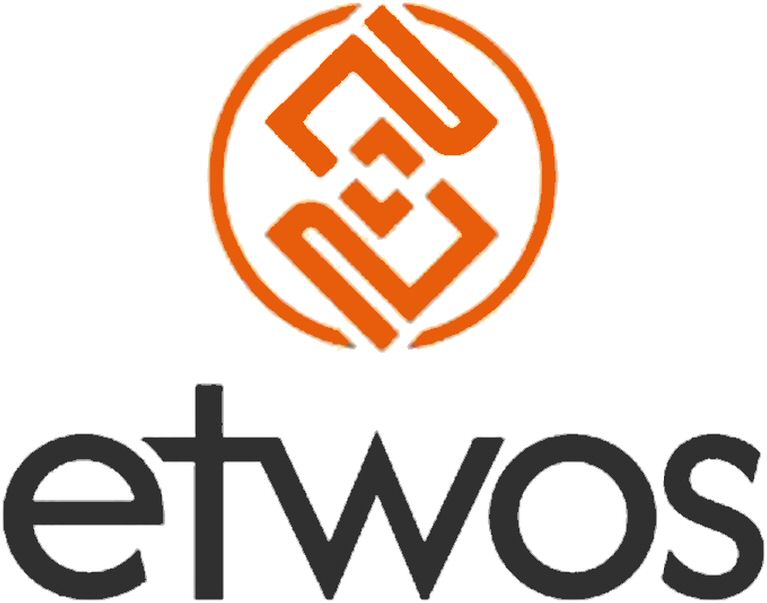Paraqitja e markës etwos