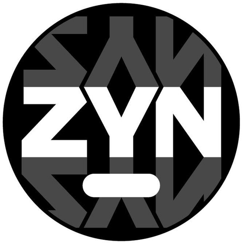Paraqitja e markës ZYN