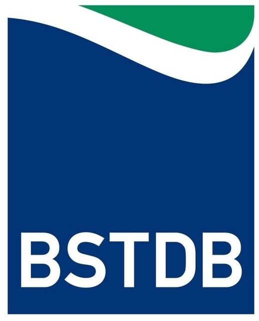 Paraqitja e markës BSTDB