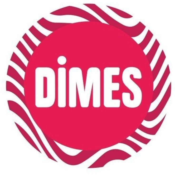 Paraqitja e markës DIMES