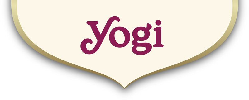Paraqitja e markës Yogi