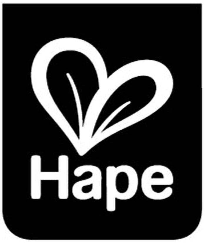 Paraqitja e markës Hape