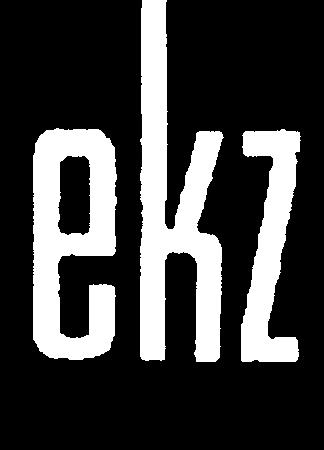 Paraqitja e markës ekz