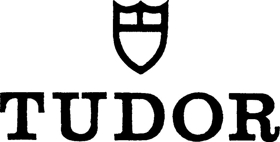 Paraqitja e markës TUDOR
