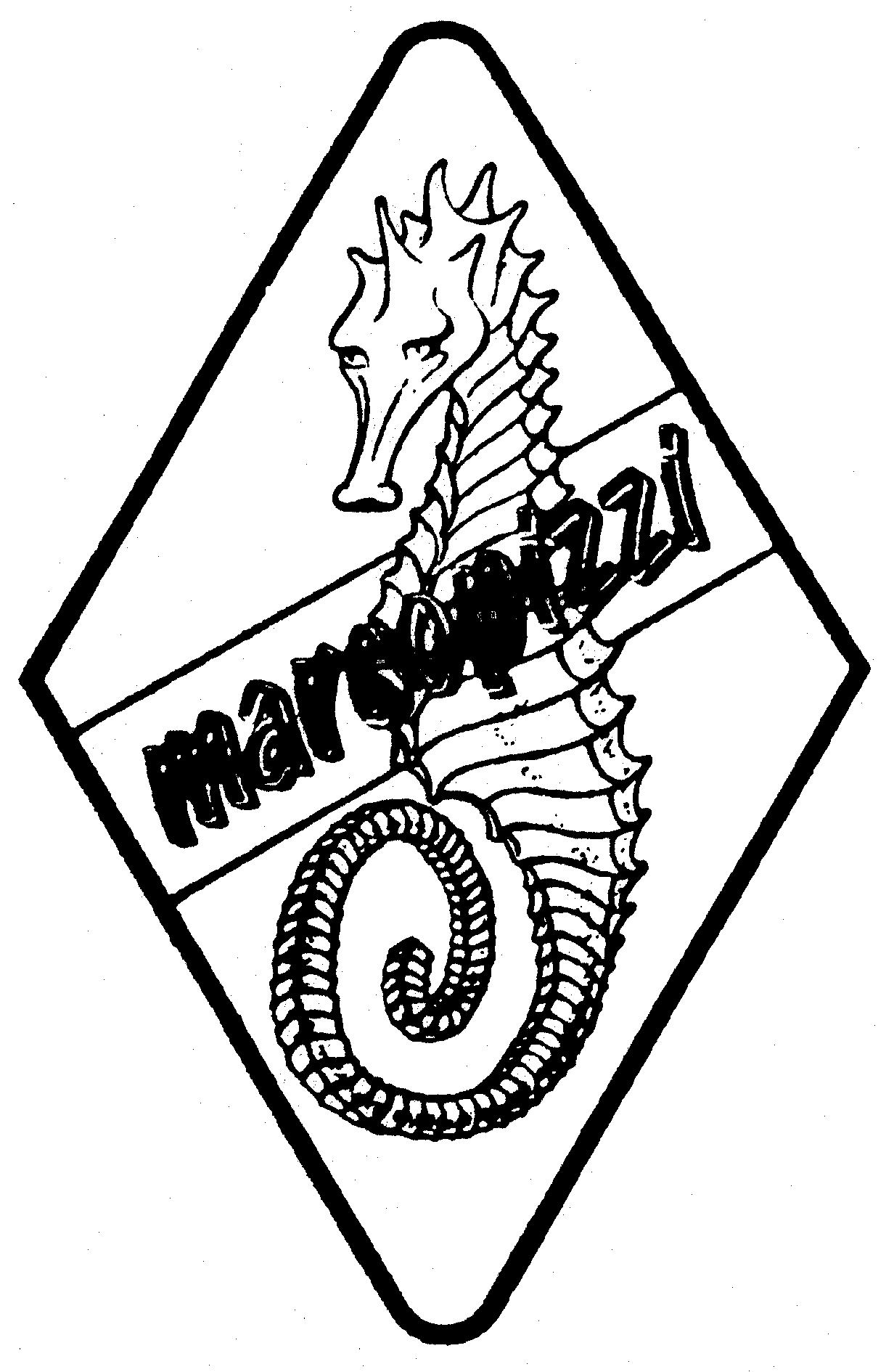 Paraqitja e markës marcopizzi