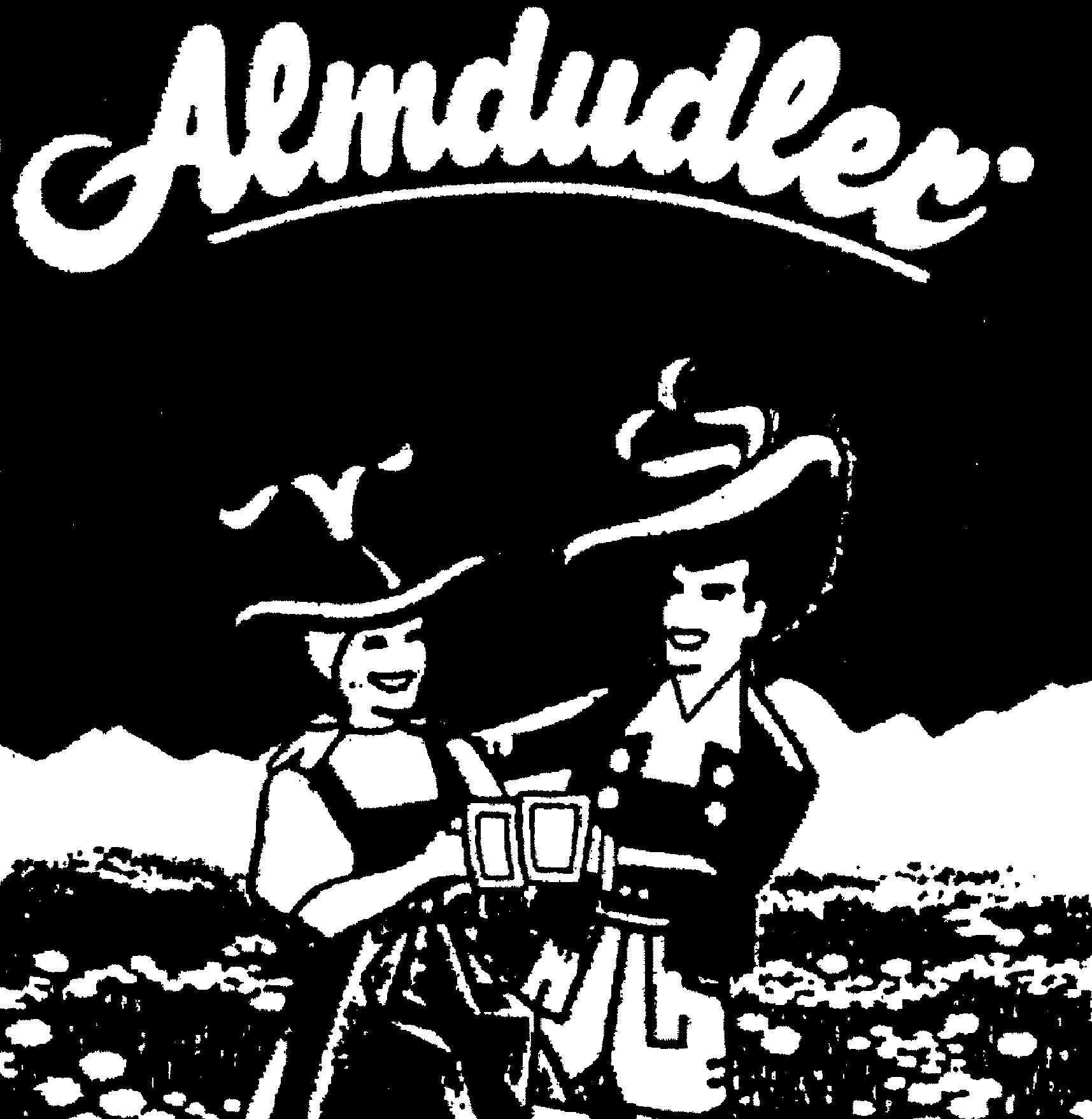 Paraqitja e markës Almdudler