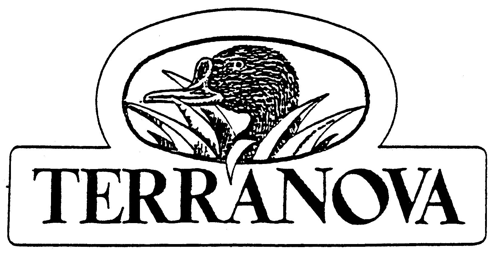 Paraqitja e markës TERRANOVA