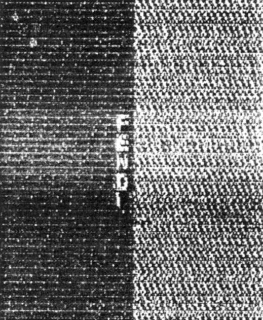 Paraqitja e markës FENDI