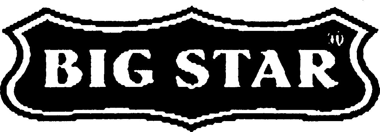 Paraqitja e markës BIG STAR