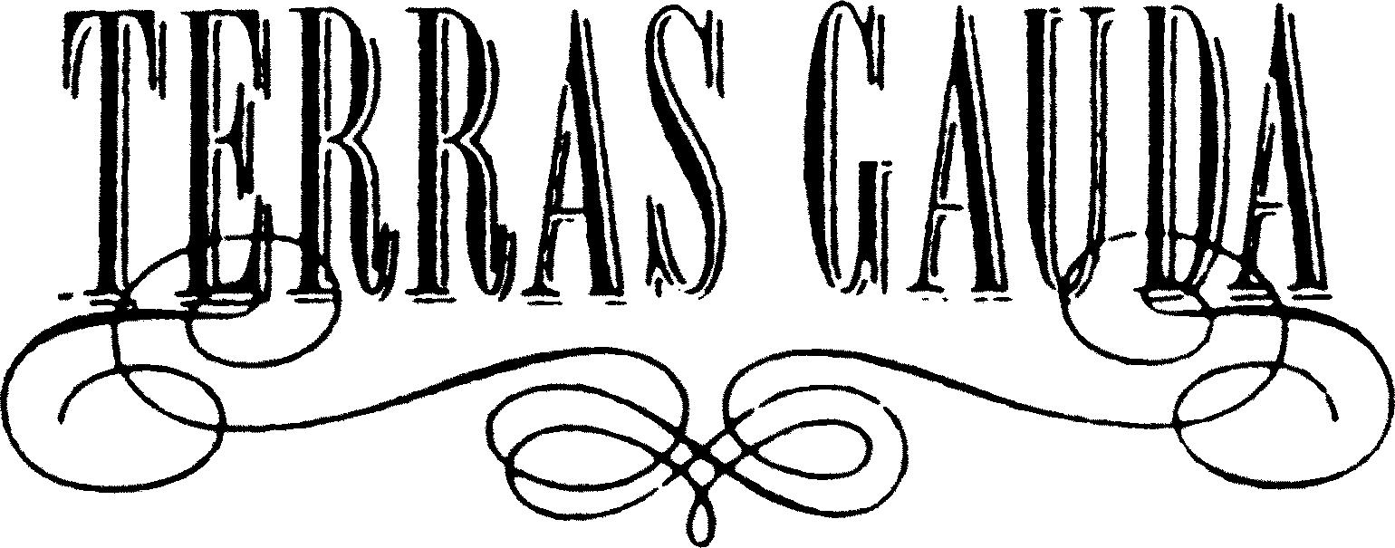 Paraqitja e markës TERRAS GAUDA