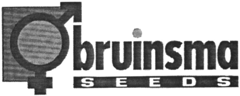 Paraqitja e markës bruinsma