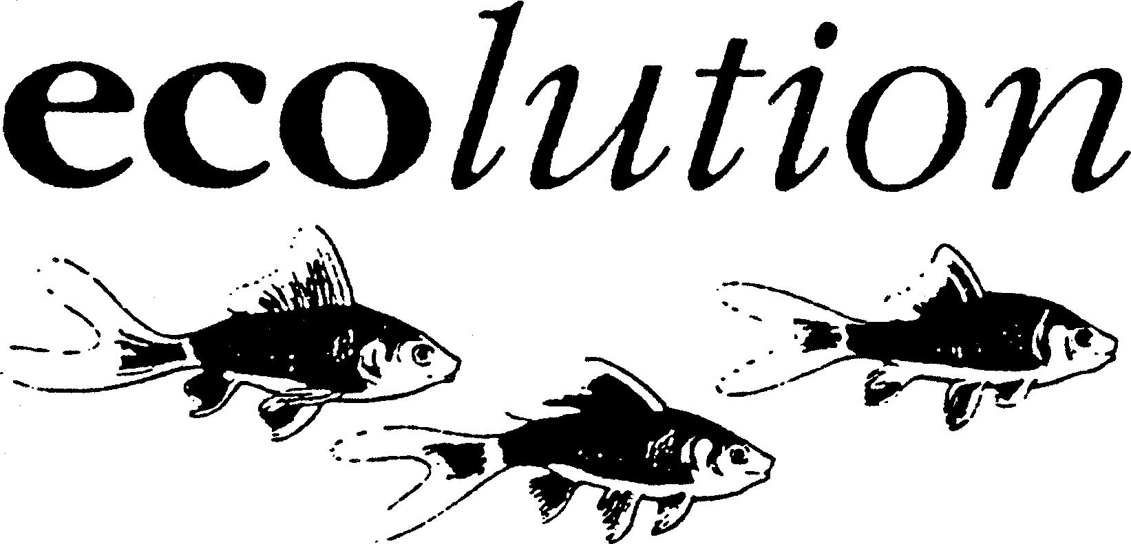 Paraqitja e markës ecolution