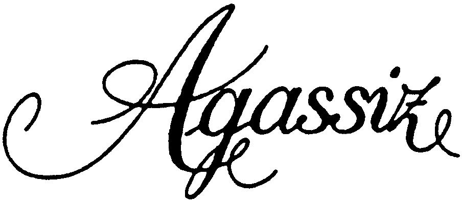 Paraqitja e markës Agassize