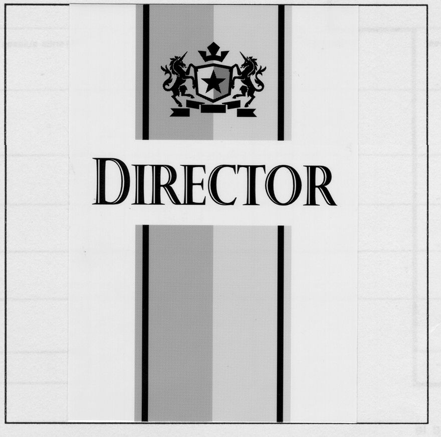 Paraqitja e markës DIRECTOR
