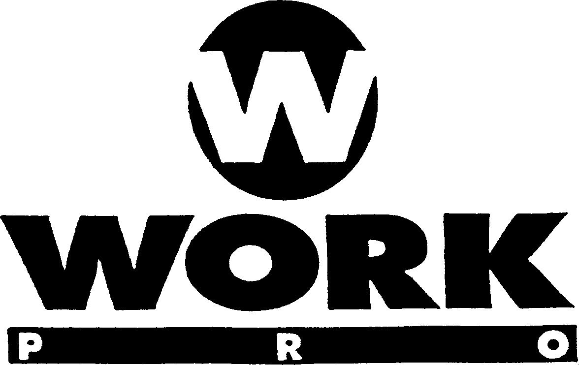 Paraqitja e markës W WORK PRO