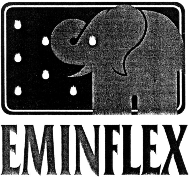 Paraqitja e markës EMINFLEX
