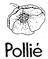 Paraqitja e markës Pollié