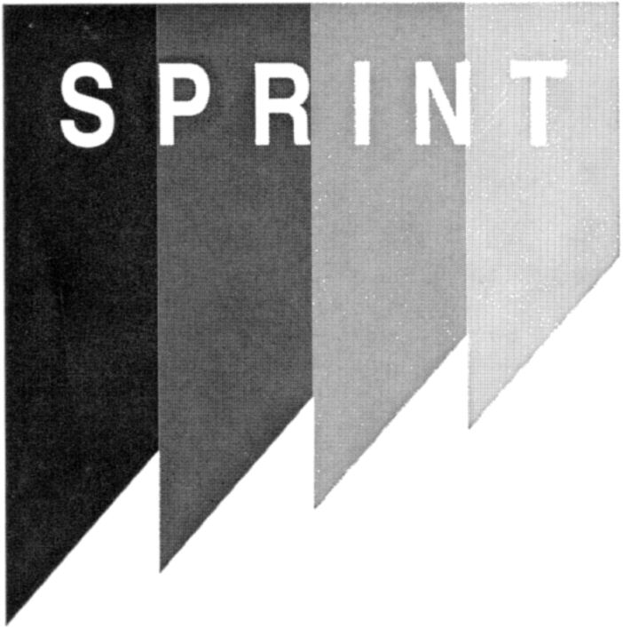 Paraqitja e markës SPRINT