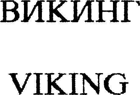 Paraqitja e markës VIKING