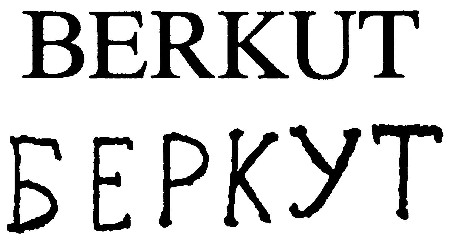 Paraqitja e markës BERKUT