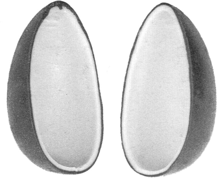 Paraqitja e markës AL/M/1/667066