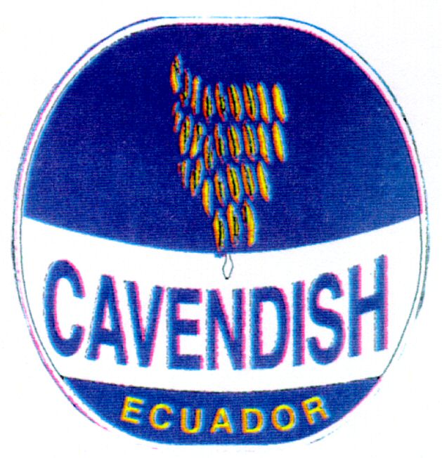 Paraqitja e markës CAVENDISH ECUADOR