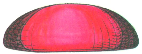 Paraqitja e markës AL/M/1/669283