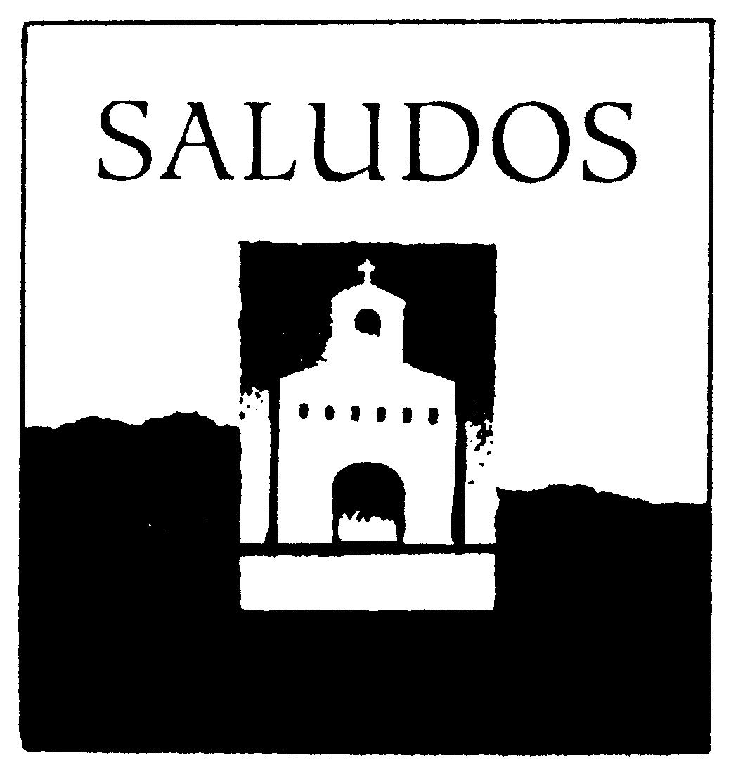 Paraqitja e markës SALUDOS