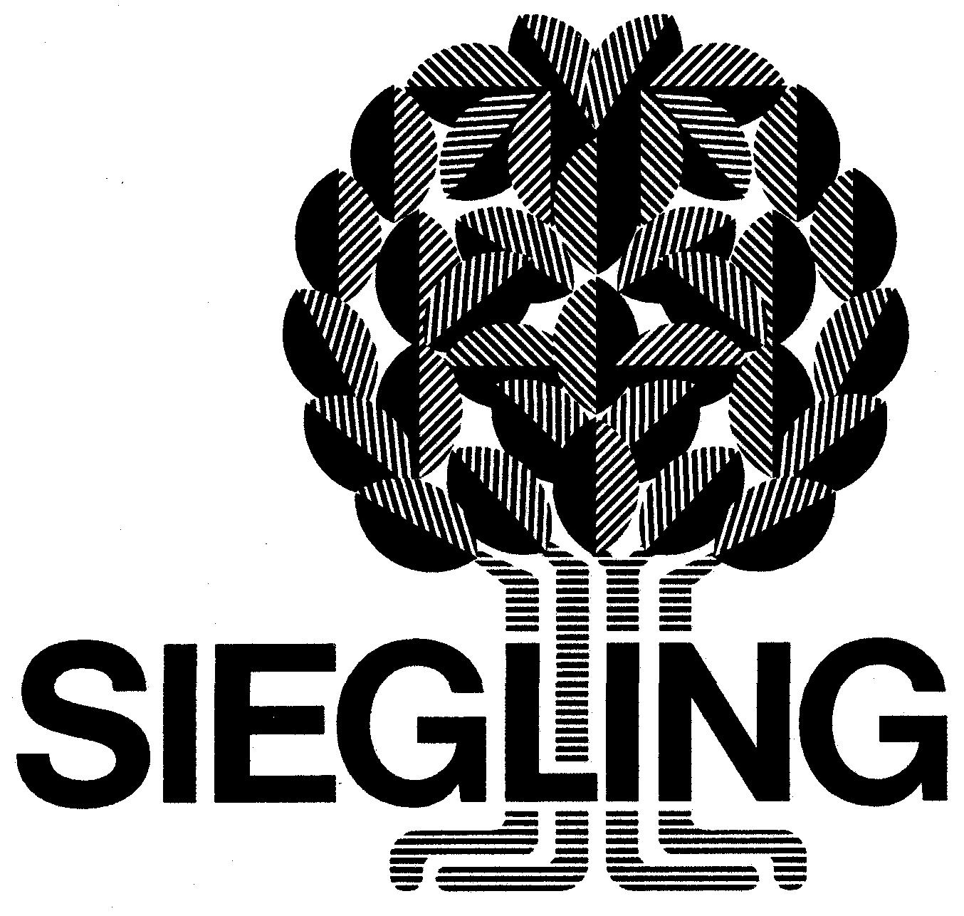 Paraqitja e markës SIEGLING