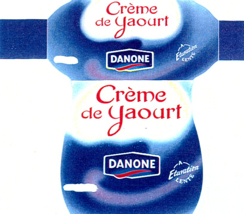 Paraqitja e markës Creme de Yaourt DANONE