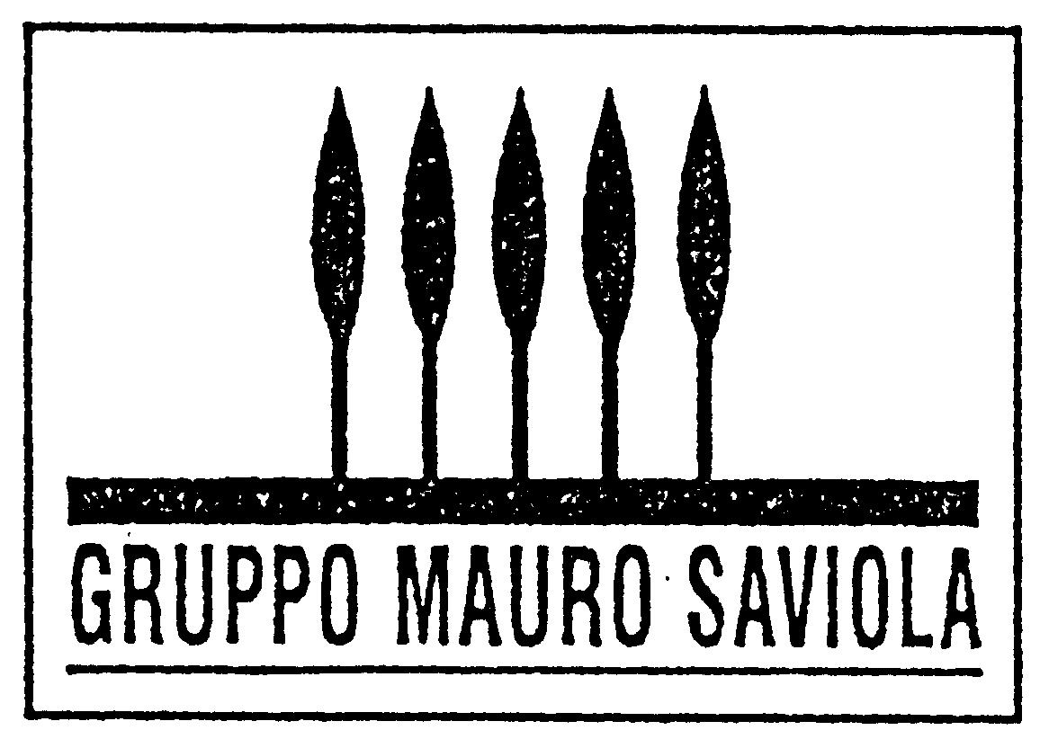 Paraqitja e markës GRUPPO MAURO SAVIOLA
