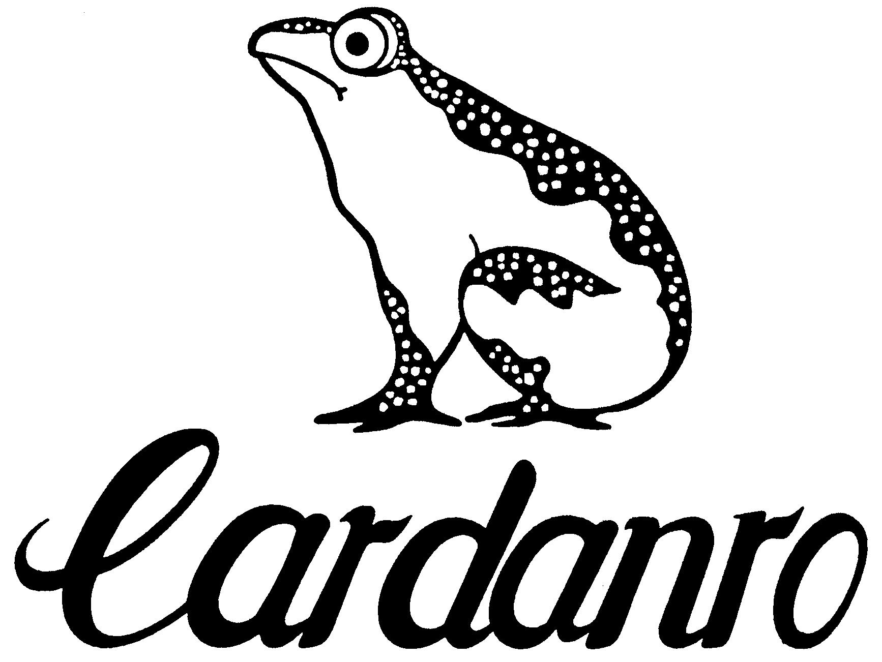 Paraqitja e markës Cardanro